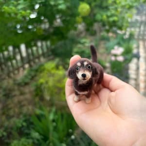 Puede incluir: Una figura de perro salchicha en miniatura de fieltro. El perro tiene pelaje marrón y canela, con un cuerpo largo y patas cortas. Tiene una nariz pequeña y negra y ojos grandes y expresivos. La figura se sostiene en una mano sobre un fondo verde borroso.