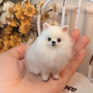 May include: A small, fluffy white Pomeranian dog figurine with black eyes and nose. The dog is held in a person's hand, showcasing its size and detail. The figurine has a realistic appearance, with soft, textured fur.