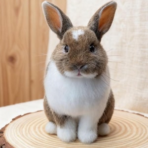 以下が含まれることがあります： 長い耳と白い胸を持つ茶色と白のウサギのぬいぐるみ。木の輪切りに座っています。ウサギは額に小さな白いマークがあり、カメラに向かってポーズをとっています。