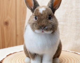 Custom Needle Felted Rabbit Sculpture, Personalized Bunny Replica, Rabbit Memorial Gift, Pet Loss Keepsake