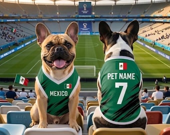 Kundenspezifisches Mexiko-Fußball-Trikot, personalisiertes Haustier-Fußball-Shirt für die WM 2026, niedlicher Hundesportbekleidung, passendes Fan-Haustier-Outfit