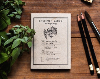 Specimen Card Notebook for Nature Study, Back to School, Homeschool Cards by Peg and Awl