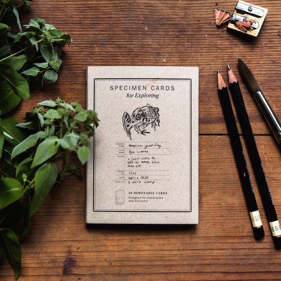 Cuaderno de tarjetas de muestra, Diario de la naturaleza, Regalo de viaje  por carretera, Diario de viaje pequeño de Peg y Awl -  España