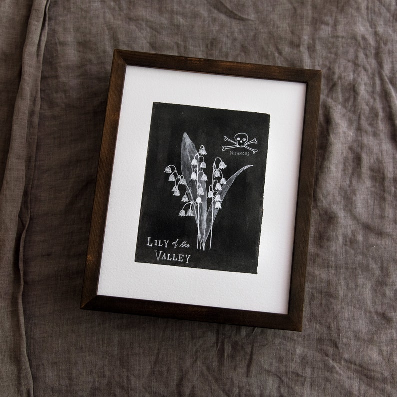 Black and White Botanical Art Print, Queen Anne's Lace, Lily of the Valley, Limited Edition Giclee Print by Peg and Awl image 1