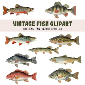 Fisch Clipart, Angeln Clipart, Vintage nautische Fisch Clipart, digitaler Download für Handwerk, Ozean Clipart, Sublimation und Dekor