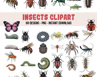 Insecten clipartbundel, insect png-pakket, vintage vlinderbij en spin SVG-ontwerpen