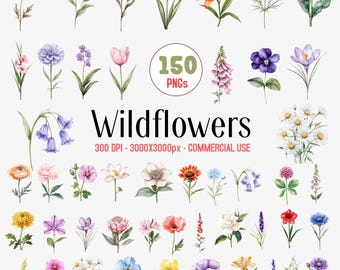 May include: A collection of watercolor wildflower illustrations in various colors, including red poppies, bluebells, and yellow daffodils. The image includes the text "Wildflowers" and "150 PNGs". The image is labeled as 300 DPI and for commercial use.