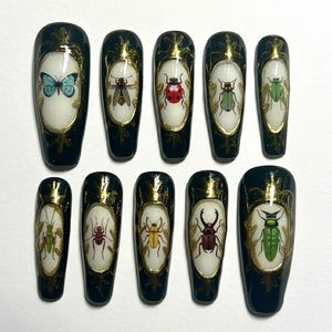 Victorian Entomology Press-On Nails | Bugs, Beetle & Butterfly Gold Frame Art.