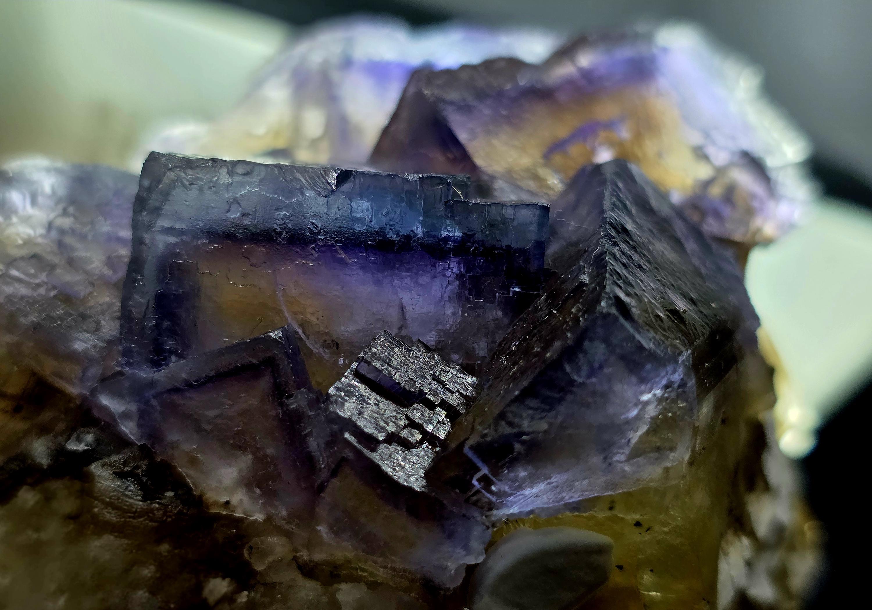 Minerva Mine - Etsy Singapore