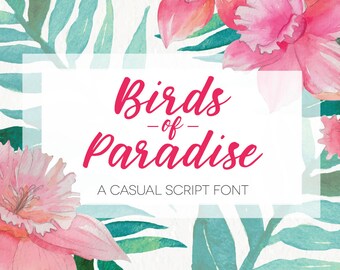 Hand Written Script Font - Birds of Paradise - Digital Download - Modern Calligraphy Typeface