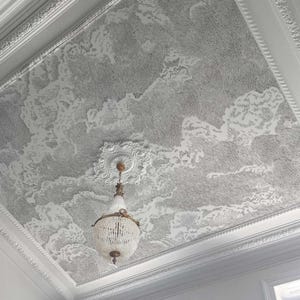 Cloud Ceiling Design in Soft Gray, Black & White Sky Art, Peel and Stick, 1-120-4