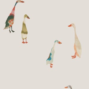 a group of colorful cartoon ducks, each with unique features and colors, creating a lively and whimsical scene.