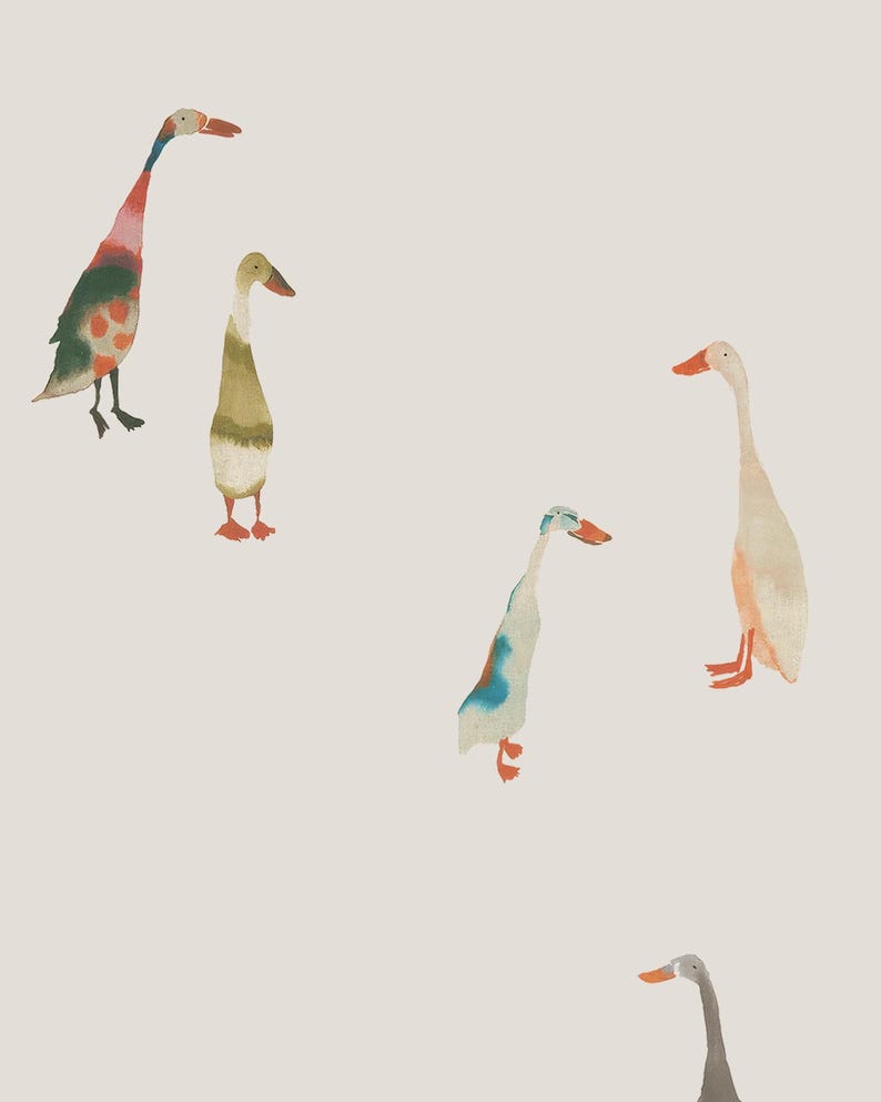 a group of colorful cartoon ducks, each with unique features and colors, creating a lively and whimsical scene.