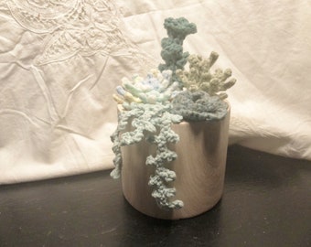 Crochet Succulents in wood grain ceramic pot