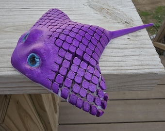 Manta Ray
