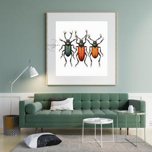 Vintage Beetle Insect Wall Art Print – Entomology Digital Download – Antique Bug Illustration Poster – Instant Download