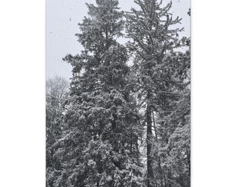 Pinos nevados / Lienzo original de bosque invernal