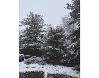 Nevada en los pinos / Lienzo decorativo original de bosque invernal