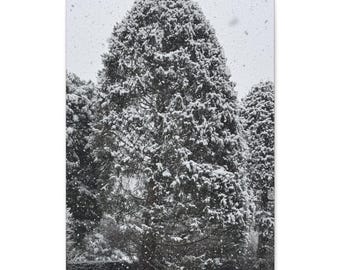 Lienzo de árbol de hoja perenne nevado / Arte mural con paisaje invernal original
