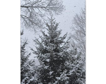 Lienzo de hoja perenne cubierto de nieve / Arte mural de bosque invernal
