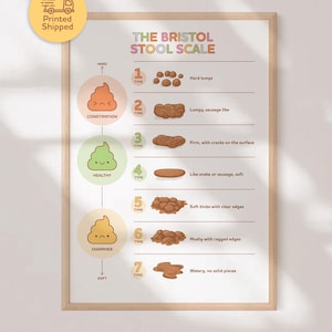 May include: A framed print of the Bristol Stool Scale, a medical chart illustrating different stool types. The chart includes illustrations and descriptions of stool consistency, ranging from hard lumps to watery, with labels for constipation, healthy, and diarrhea.