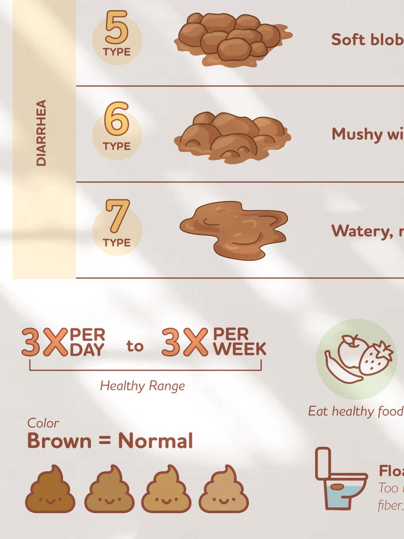 Visual Poop Scale Poop Health Poster, Medical Human Anatomy Wall Art, Bristol Stool Scale ...