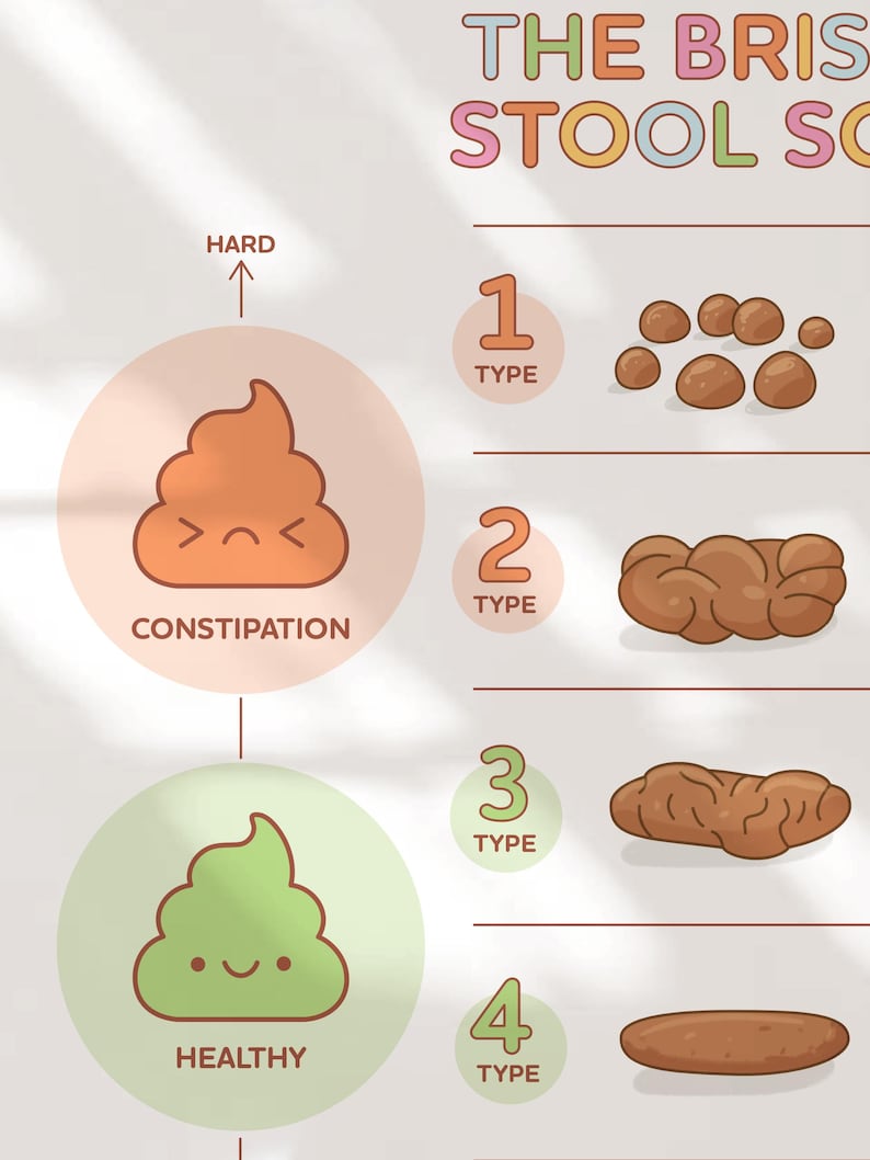 Bristol Stool Scale Poster, Medical Human Anatomy Wall Art, Funny Poop ...