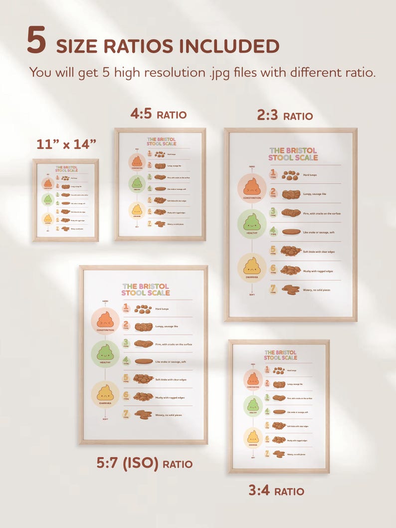 Bristol Stool Scale Poster, Medical Human Anatomy Wall Art, Funny Poop ...