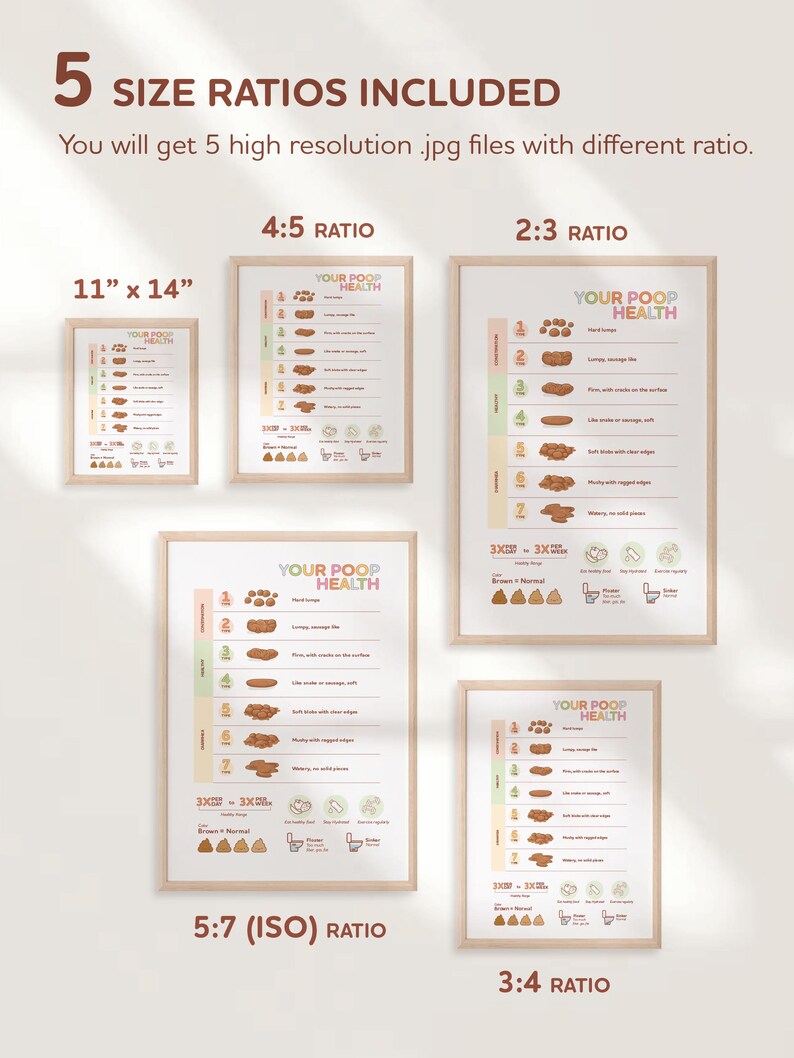 Poop Health Poster, Medical Human Anatomy Wall Art, Bristol Stool Scale ...