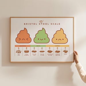 May include: A framed print featuring the "Bristol Stool Scale" with illustrations of different stool types, ranging from hard lumps to watery. The print includes the text "Bristol Stool Scale" and categorizes stools under "Constipation," "Healthy," and "Diarrhea."