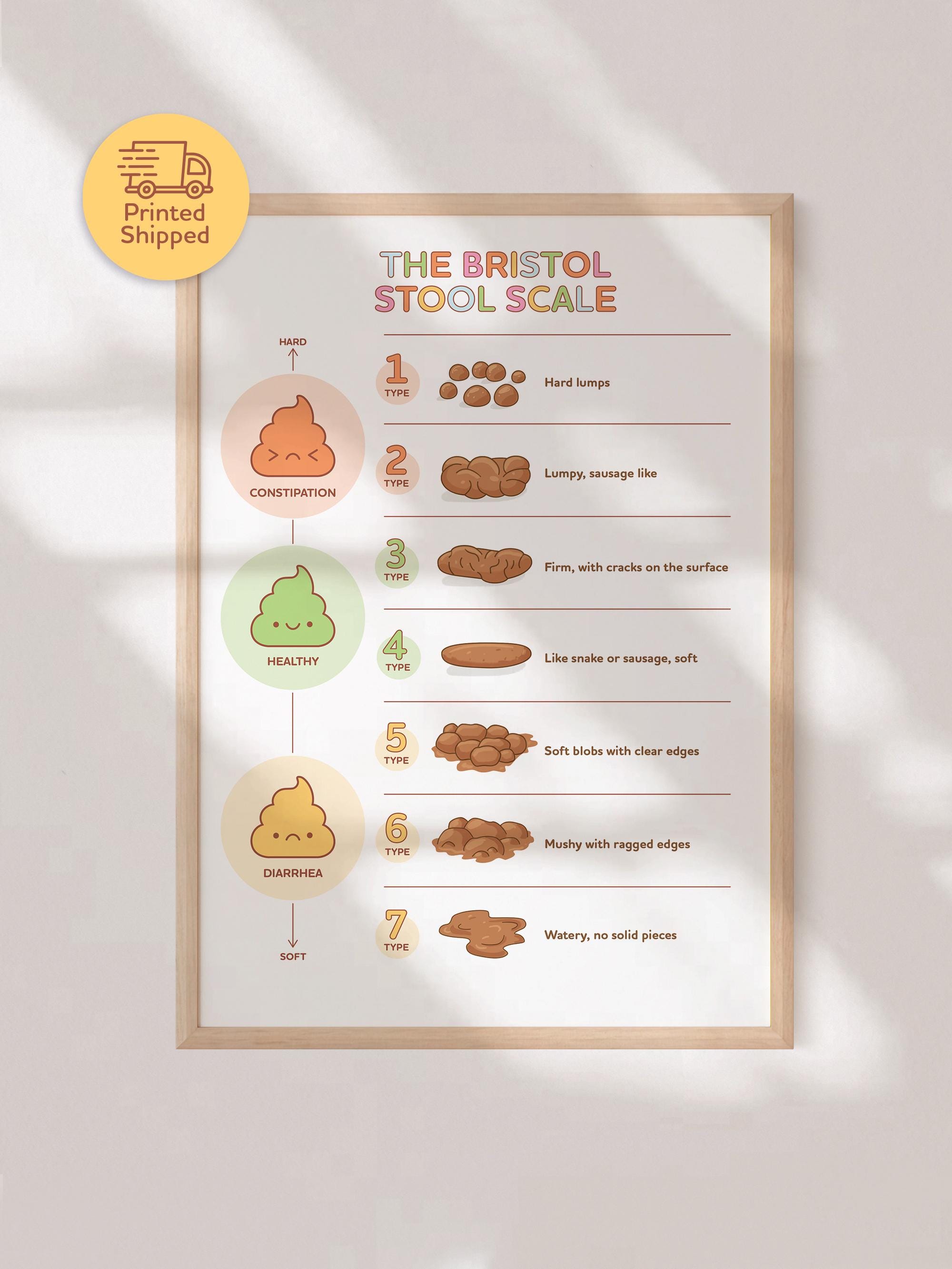 Bristol Stool Scale Poster, Medical Human Anatomy Wall Art, Funny Poop ...