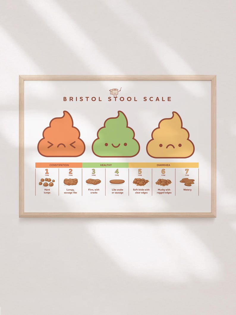 Bristol Stool Scale Poster, Medical Human Anatomy Wall Art, Funny Poop ...