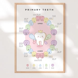 Puede incluir: Una impresión enmarcada titulada "PRIMARY TEETH" con un diagrama de dientes de leche. El diagrama muestra los dientes superiores e inferiores con números y meses. La ilustración incluye un personaje de diente sonriente con una corona y formas de dientes coloridas.