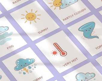 Weather flashcards for kids, Toddler weather activity, Pre-k activity for homeschool, Printable flashcards for Montessori education