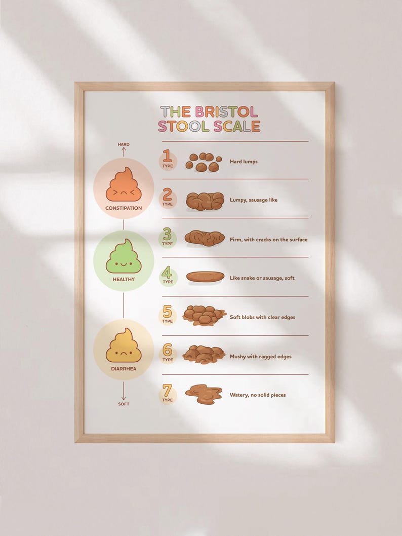 Bristol Stool Scale Poster, Medical Human Anatomy Wall Art, Funny Poop ...