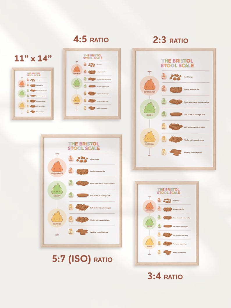 Visual Poop Scale Bristol Stool Scale Poster, Medical Human Anatomy Wall Art, Funny Poop ...