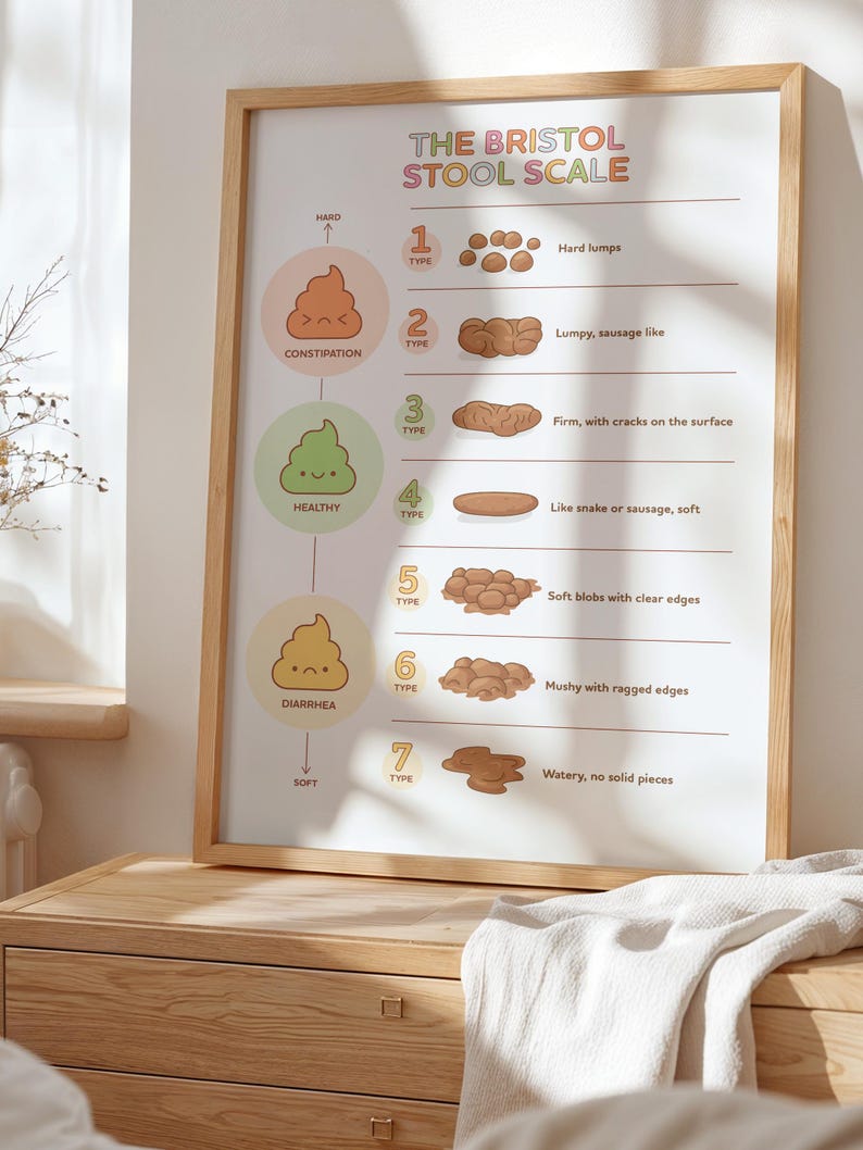 Bristol Stool Scale Poster, Medical Human Anatomy Wall Art, Funny Poop ...