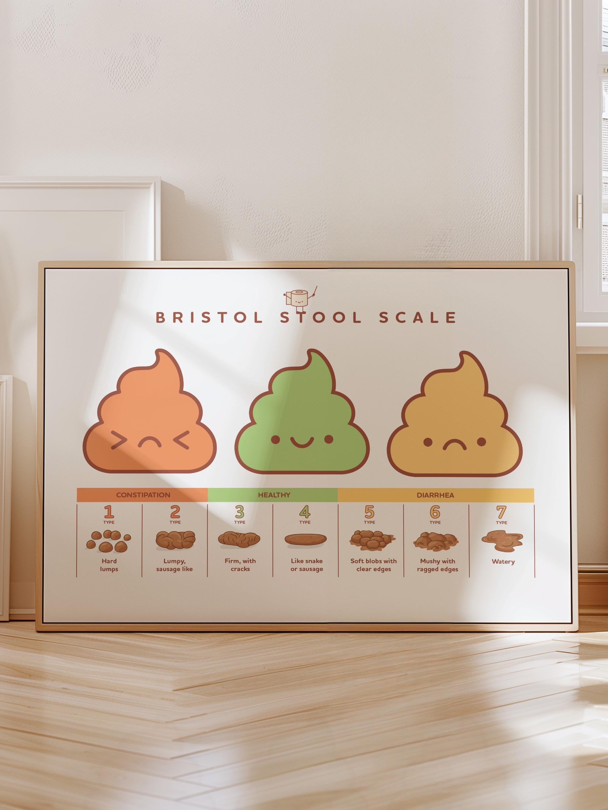 Bristol Stool Scale Poster Medical Human Anatomy Wall Art Funny Poop 