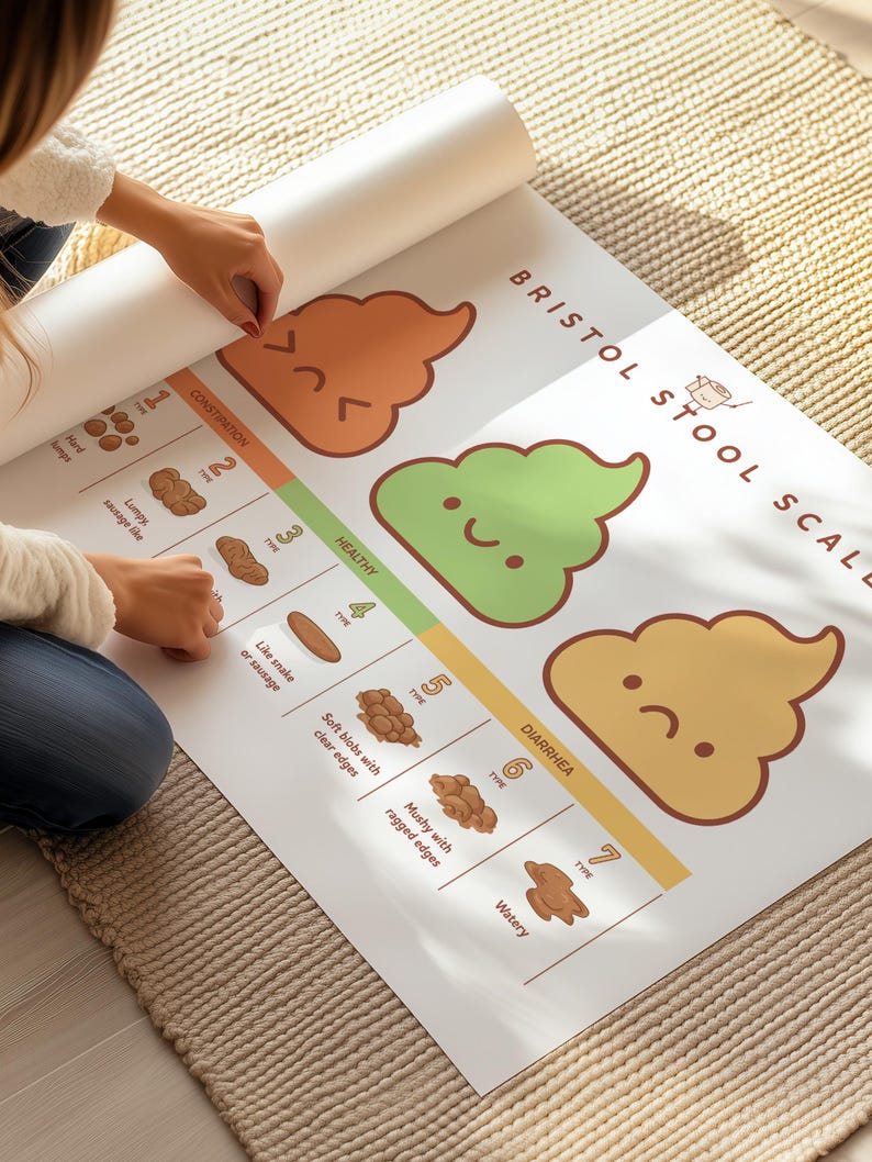 Bristol Stool Scale Poster, Medical Human Anatomy Wall Art, Funny Poop ...