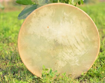 Pode incluir: Um tambor redondo de couro de cor marrom claro com uma superfície natural texturizada. O tambor está sentado em um leito de grama verde.