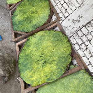 Peut inclure: Vue aérienne de plusieurs peaux de cuir teintes en vert de forme irrégulière. Les peaux sont présentées sur des cadres en bois, avec un aspect rugueux et texturé. La couleur varie du vert clair au vert foncé.