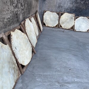 May include: Multiple off-white, circular animal hides are stretched and secured onto square wooden frames using metal fasteners. These hides are arranged in a row along a wall, showcasing their natural, textured surfaces and irregular edges.