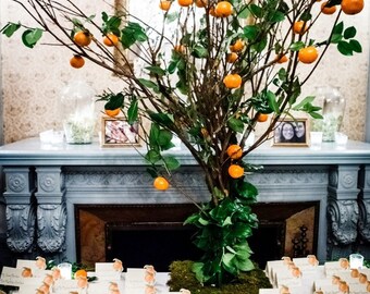 Orange Place Card - Gift Card - Table Number Card - Menu Card -Holidays -weddings events