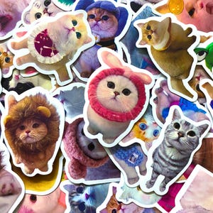 100 Random Cat Stickers, Kawaii Vinyl Stickers, Funny Meme Stickers, Waterproof Decals, Cute Journaling Sticker for Laptop and Water Bottles