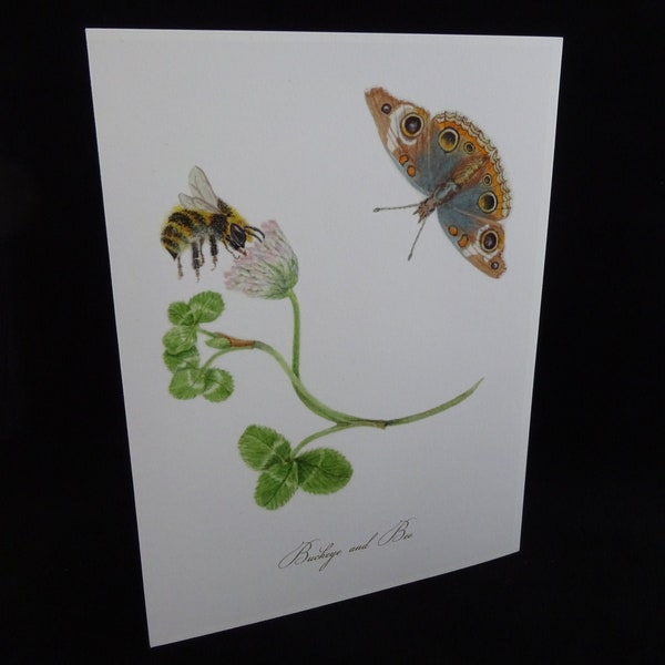 Buckeye Butterfly and Bee, Botanical Card