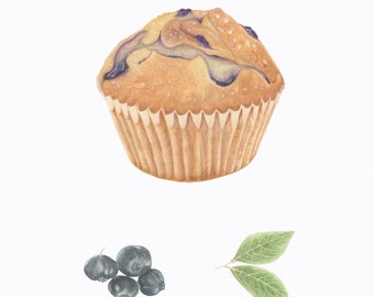 Blueberry Muffin/BOTANICAL-FOOD ILLUSTRATION/Archival Giclee Print/Farmers Market