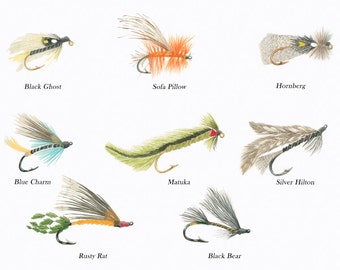 Fly Fishing/ FISH ILLUSTRATIONS/Archival Giclee Print/Freshwater Fish