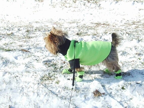 Extra small dog coats Clearance