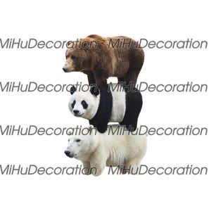 May include: A stacked image of three bears: a brown bear on top, a panda in the middle, and a polar bear at the bottom. The bears are set against a white background. The text "MiHuDecoration" is repeated across the image.