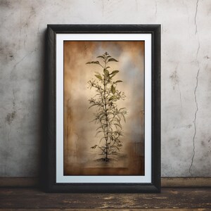 Impresión botánica vintage, ilustración de planta antigua, póster de decoración de pared retro para su hogar, excelente idea de regalo, excelente calidad de impresión #060